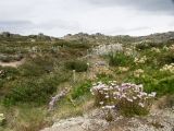 Kosciuszko national park